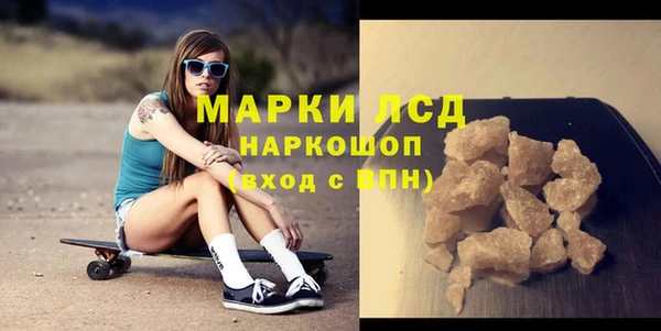 шишки Арсеньев