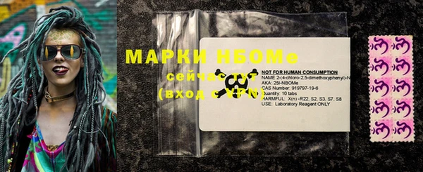 шишки Арсеньев