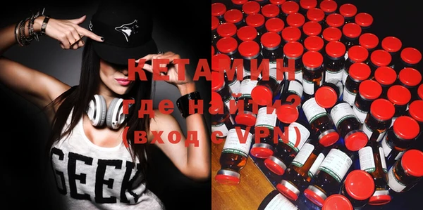 шишки Арсеньев