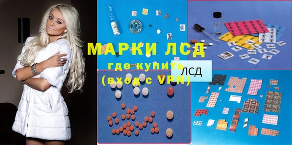 шишки Арсеньев