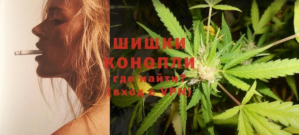 шишки Арсеньев