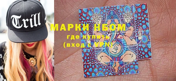 шишки Арсеньев