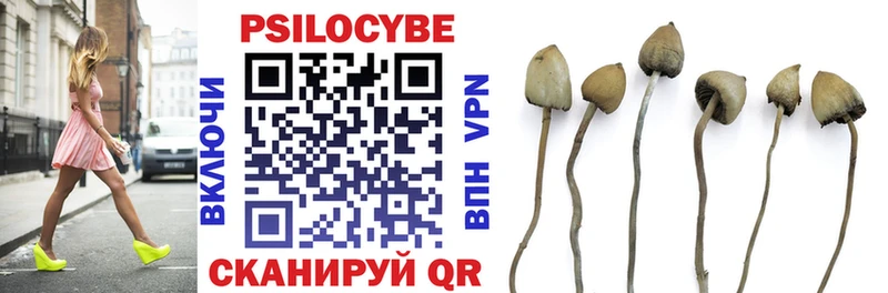 Галлюциногенные грибы Psilocybe  Саки 